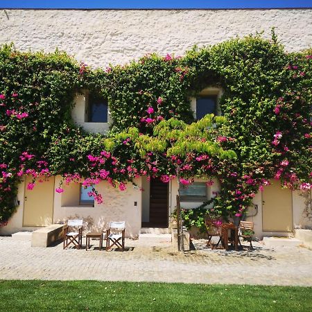 Nova Casa Com Piscina No Convento Das Bernardas تافيرا المظهر الخارجي الصورة
