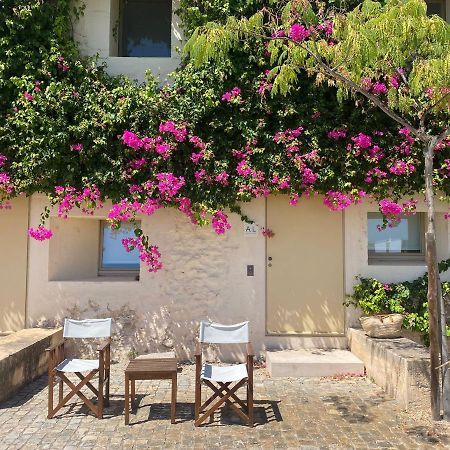 Nova Casa Com Piscina No Convento Das Bernardas تافيرا المظهر الخارجي الصورة