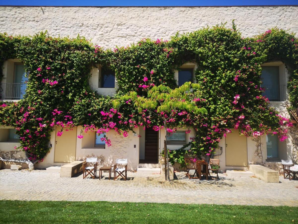 Nova Casa Com Piscina No Convento Das Bernardas تافيرا المظهر الخارجي الصورة