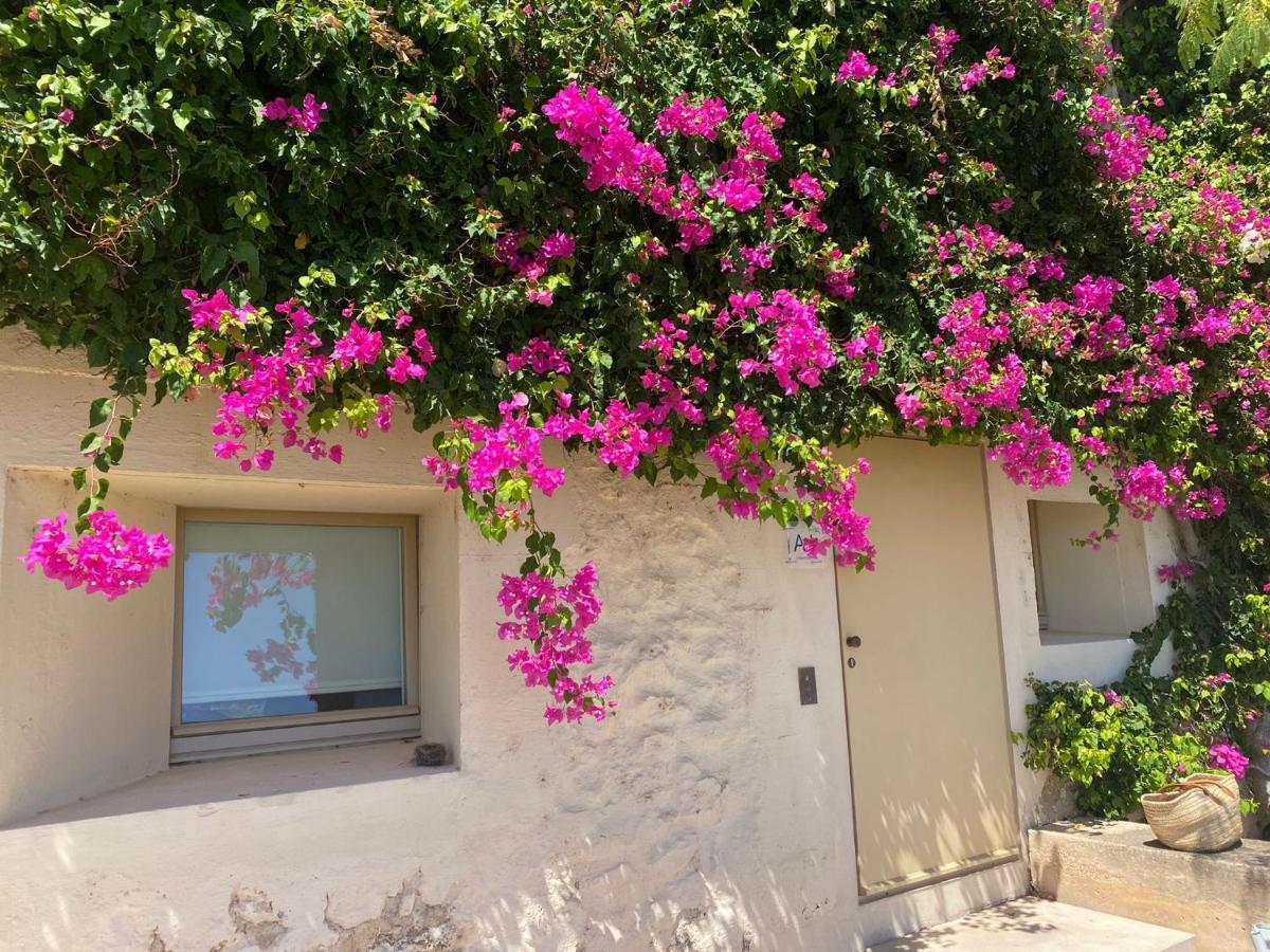 Nova Casa Com Piscina No Convento Das Bernardas تافيرا المظهر الخارجي الصورة